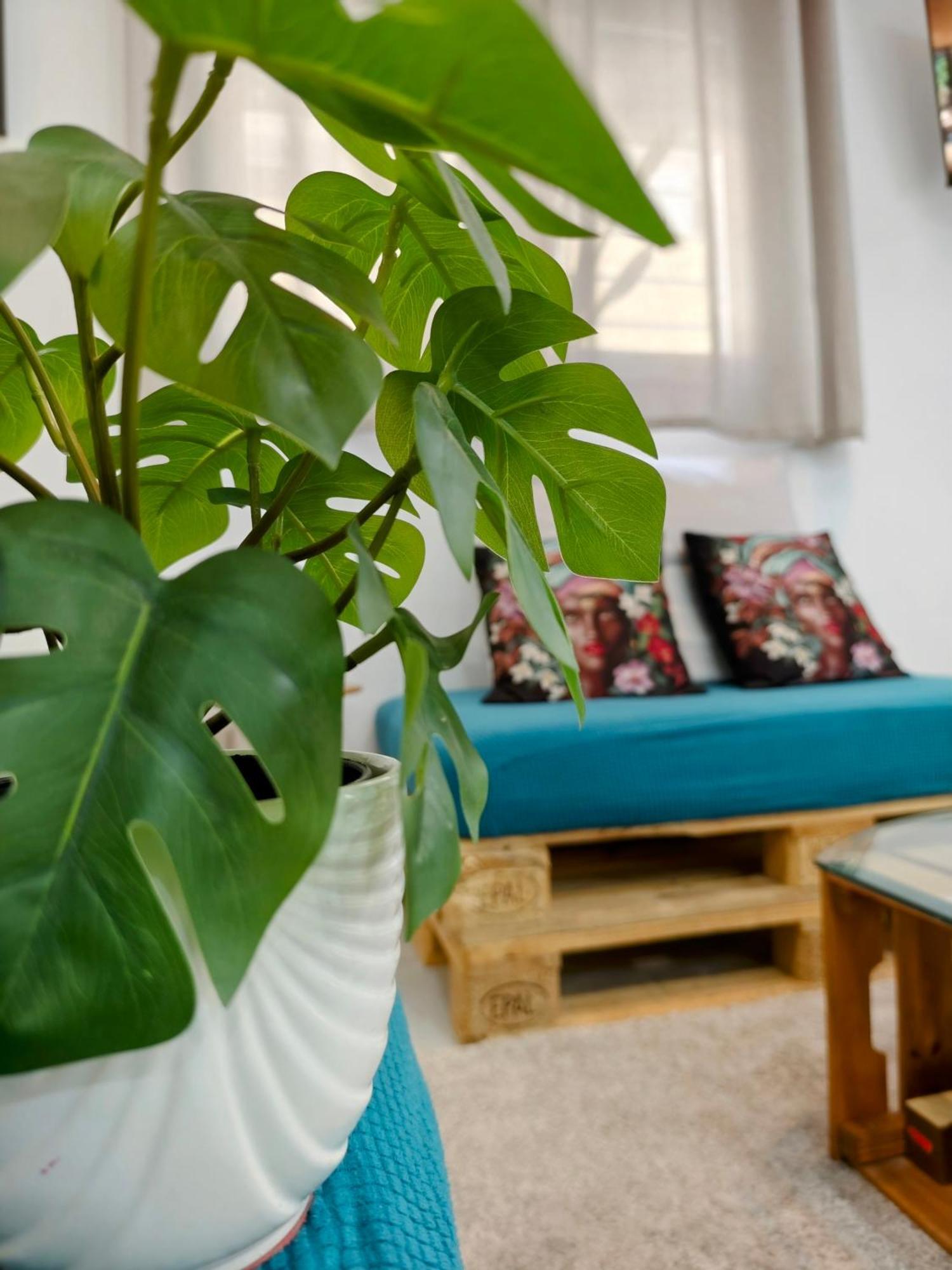 Sol & Arena Loft Apartament Malaga
